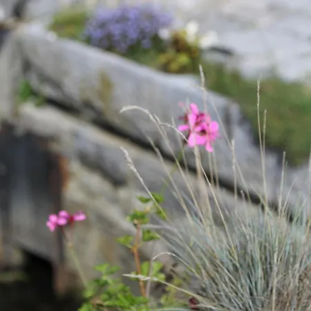 Le Grenier De La Floye Vakantiehuis Biesmeree